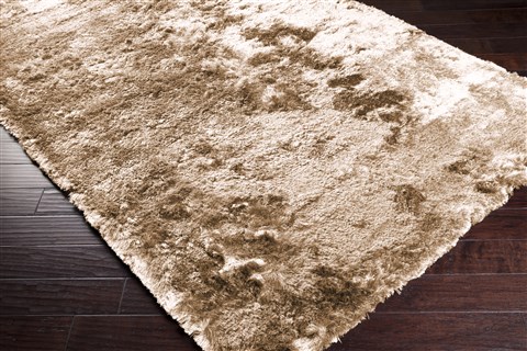 Surya Jasper Brown 36 X 56 Area Rug JSP8004-3656 800-49008 Image 1