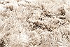 Surya Jasper Grey 80 X 110 Area Rug JSP8005-811 800-49014 Thumb 2