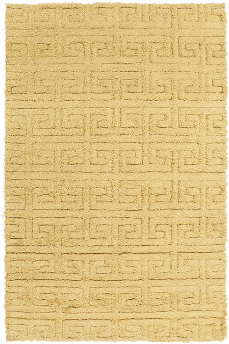 Surya Kabru Yellow 36 X 56 Area Rug KAB8002-3656 800-49273 Image 0