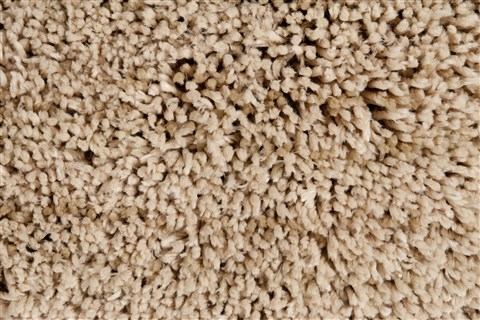 Surya Mellow White 76 X 96 Area Rug MLW9000-7696 800-52735 Image 4