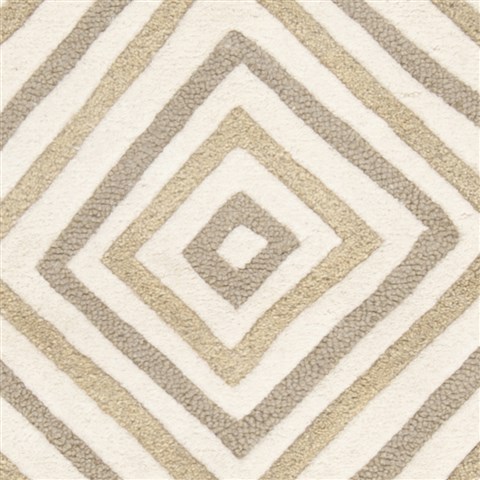 Surya Naya Grey 80 X 110 Area Rug NY5212-811 800-53954 Image 2