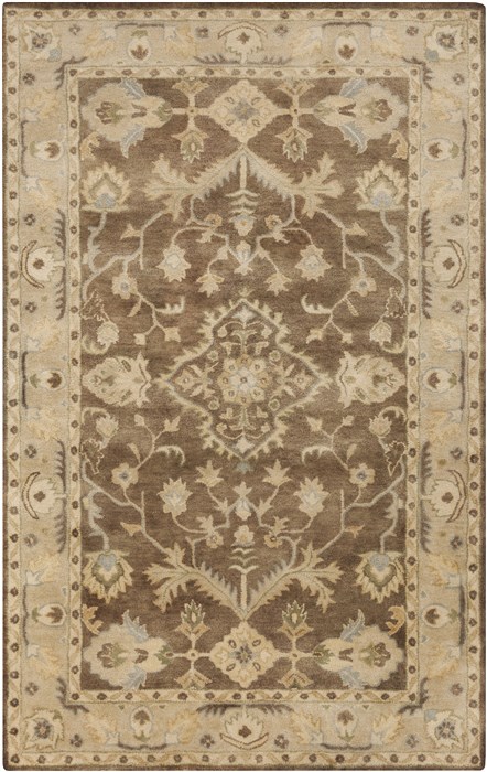Surya RELIC Brown 50 X 76 Area Rug RLC3003-576 800-56985 Image 0