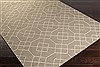 Surya Seabook Grey 36 X 56 Area Rug SBK9000-3656 800-57895 Thumb 1