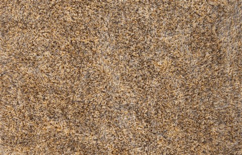 Surya Sienna Yellow 20 X 30 Area Rug SIE7000-23 800-58775 Image 3