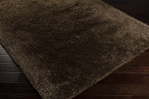 Surya Sienna Brown 50 X 80 Area Rug SIE7003-58 800-58782 Image 1