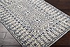Surya Smithsonian Blue 50 X 80 Area Rug SMI2113-58 800-58977 Thumb 1