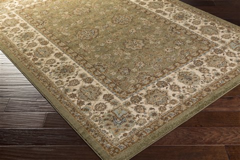 Surya Tatil Green 22 X 30 Area Rug TTL1022-223 800-60800 Image 1