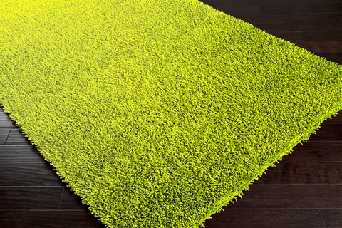 Surya Vivid Green 26 X 42 Area Rug VIV807-2642 800-61091 Image 1