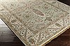 Surya Zeus Green 56 X 86 Area Rug ZEU7811-5686 800-61858 Thumb 1