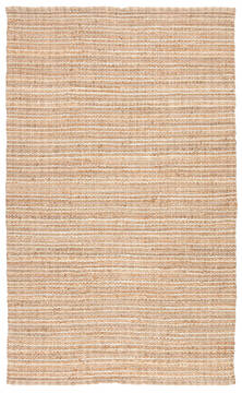 Jaipur Living Andes Beige 2'6" X 4'0" Area Rug RUG100016 803-62548