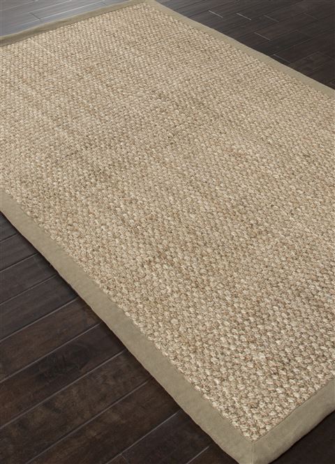 Jaipur Living Naturals Lucia Beige 40 X 60 Area Rug RUG112491 803-66881 Image 1