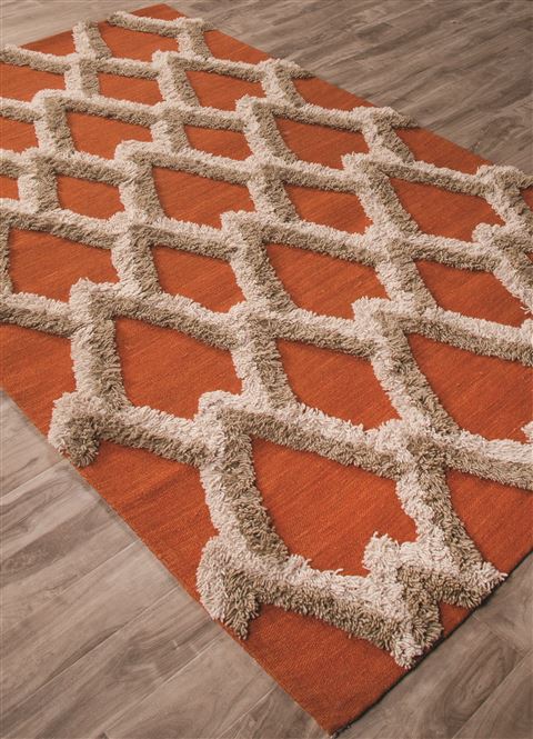 Jaipur Living National Geographic Home Collection Fw Premium Orange 80 X 100 Area Rug RUG125261 803-66998 Image 1