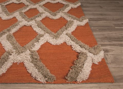 Jaipur Living National Geographic Home Collection Fw Premium Orange 80 X 100 Area Rug RUG125261 803-66998 Image 2