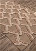 Jaipur Living National Geographic Home Collection Fw Premium Beige 20 X 30 Area Rug RUG125262 803-66999 Thumb 1