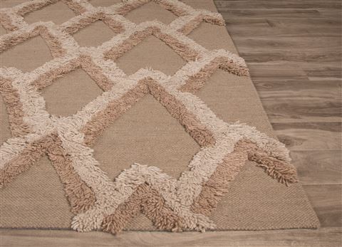 Jaipur Living National Geographic Home Collection Fw Premium Beige 50 X 80 Area Rug RUG124852 803-67000 Image 2