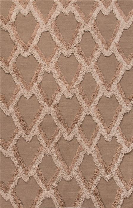 Jaipur Living National Geographic Home Collection Fw Premium Beige 50 X 80 Area Rug RUG124852 803-67000 Image 0