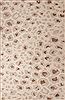 Jaipur Living National Geographic Home Collection Tufted Brown 20 X 30 Area Rug RUG124905 803-67023 Thumb 0