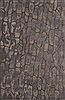 Jaipur Living National Geographic Home Collection Tuf Premium Blue 50 X 80 Area Rug RUG123764 803-67169 Thumb 0
