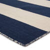 Jaipur Living Pura Vida Blue 50 X 80 Area Rug RUG103877 803-67611 Thumb 1