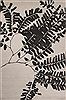 Jaipur Living Shadow White 80 X 100 Area Rug RUG124737 803-67874 Thumb 0