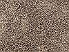Jaipur Living Tribeca Brown 50 X 76 Area Rug RUG104044 803-67940 Thumb 4