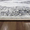 Dynamic ANCIENT GARDEN Grey Runner 22 X 110 Area Rug AN212575579696 801-68722 Thumb 3