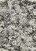 dynamic_rug_ancient_garden_collection_synthetic_grey_area_rug_68724