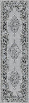 Dynamic ANCIENT GARDEN Grey Runner 2'2" X 7'7" Area Rug AN28575579696 801-68766