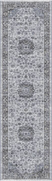 Dynamic ANCIENT GARDEN Grey Runner 2'2" X 7'7" Area Rug AN28575599656 801-68769