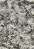 Dynamic ANCIENT GARDEN Grey 311 X 57 Area Rug AN46575585696 801-68888 Thumb 0