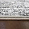 Dynamic ANCIENT GARDEN Grey 53 X 77 Area Rug AN69570089696 801-68893 Thumb 3