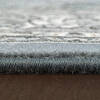 Dynamic ANCIENT GARDEN Blue 53 X 77 Area Rug AN69571194646 801-68912 Thumb 3