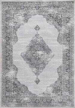 Dynamic ANCIENT GARDEN Grey 9'2" X 12'10" Area Rug AN1014575579696 801-69128