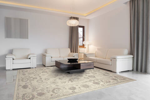 Dynamic AVALON Beige 20 X 40 Area Rug AV2488800106 801-69208 Image 2