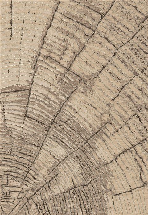 Dynamic ECLIPSE Grey 53 X 77 Area Rug EC69632056333 801-69686 Image 0