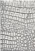Dynamic MYSTERIO Grey 20 X 311 Area Rug MS241218900 801-70861 Thumb 0