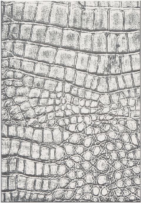 Dynamic MYSTERIO Grey 67 X 96 Area Rug MS7101218900 801-70901 Image 0