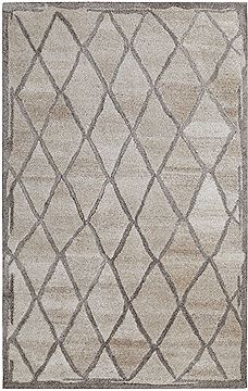 Dynamic POSH Grey Rectangle 4x6 ft Wool Carpet 71457