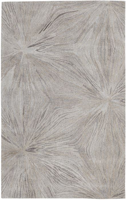 Dynamic POSH Grey 80 X 110 Area Rug PO9127802717 801-71494 Image 0