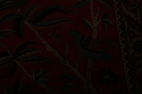Agra Red Hand Knotted 151 X 201 Area Rug 155-74550 Image 11