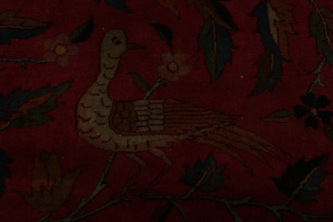Agra Red Hand Knotted 151 X 201 Area Rug 155-74550 Image 18