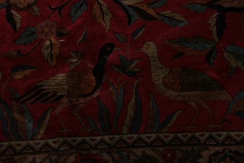Agra Red Hand Knotted 151 X 201 Area Rug 155-74550 Image 9