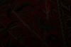 Agra Red Hand Knotted 151 X 201  Area Rug 155-74550 Thumb 11