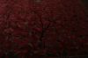 Agra Red Hand Knotted 151 X 201  Area Rug 155-74550 Thumb 13