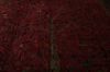 Agra Red Hand Knotted 151 X 201  Area Rug 155-74550 Thumb 15