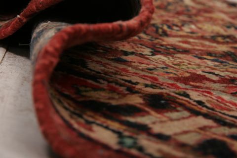 Bidjar Multicolor Runner Hand Knotted 39 X 125 Area Rug 155-74589 Image 7