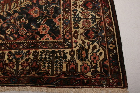Bakhtiar Multicolor Hand Knotted 1010 X 131 Area Rug 155-74612 Image 8