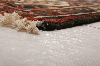 Bakhtiar Multicolor Hand Knotted 1010 X 131 Area Rug 155-74612 Thumb 5