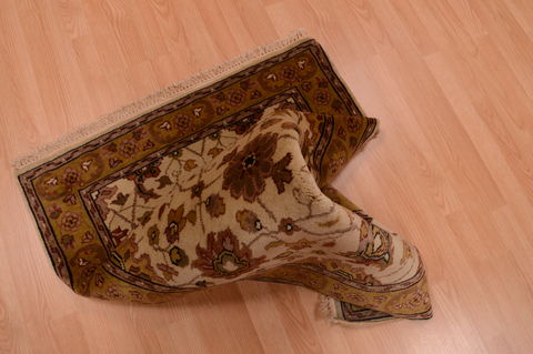 Jaipur Beige Hand Knotted 30 X 50 Area Rug 100-74908 Image 5