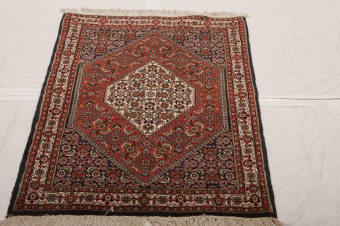 Bidjar Multicolor Hand Knotted 24 X 34 Area Rug 155-74990 Image 1